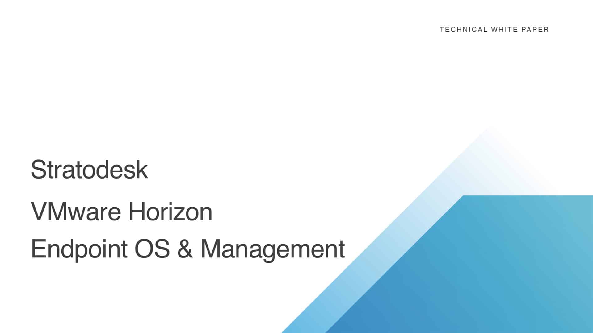 VMware Horizon Endpoint White Paper