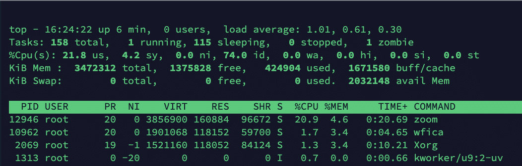 Zoom process running