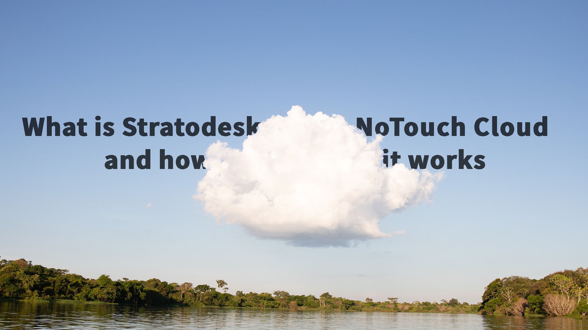 What is Stratodesk NoTouch Cloud and how it works